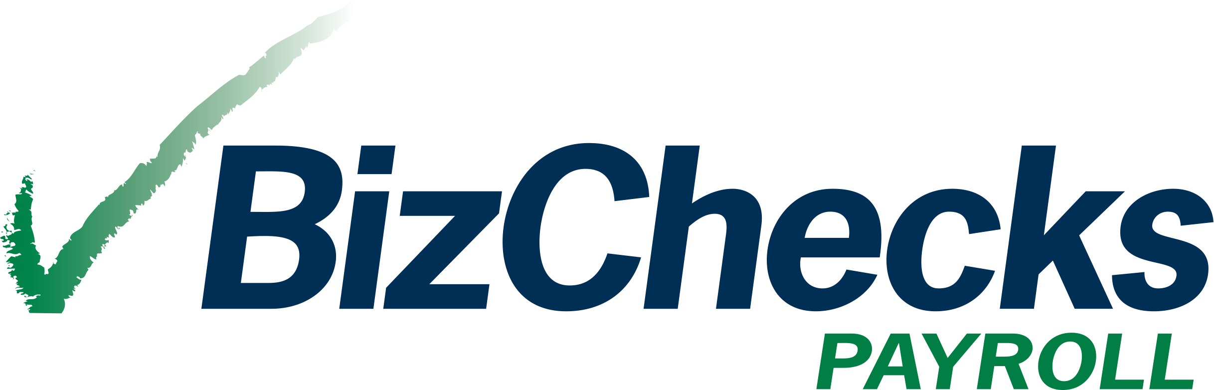 BizChecks Payroll logo