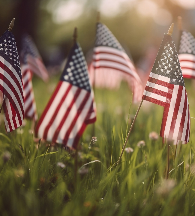 American flags placed in grass for Memorial Day display