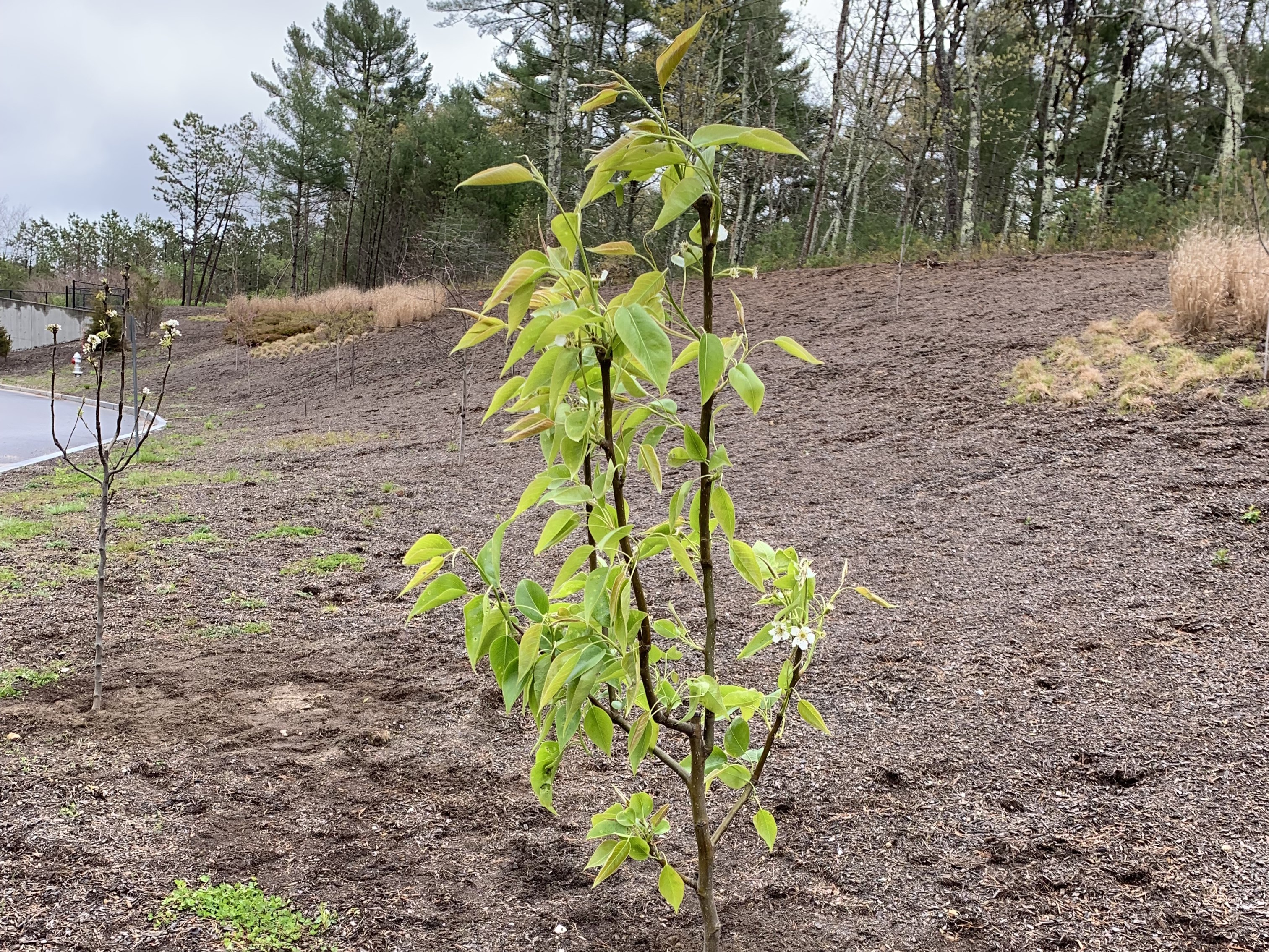  The Permaculture Project