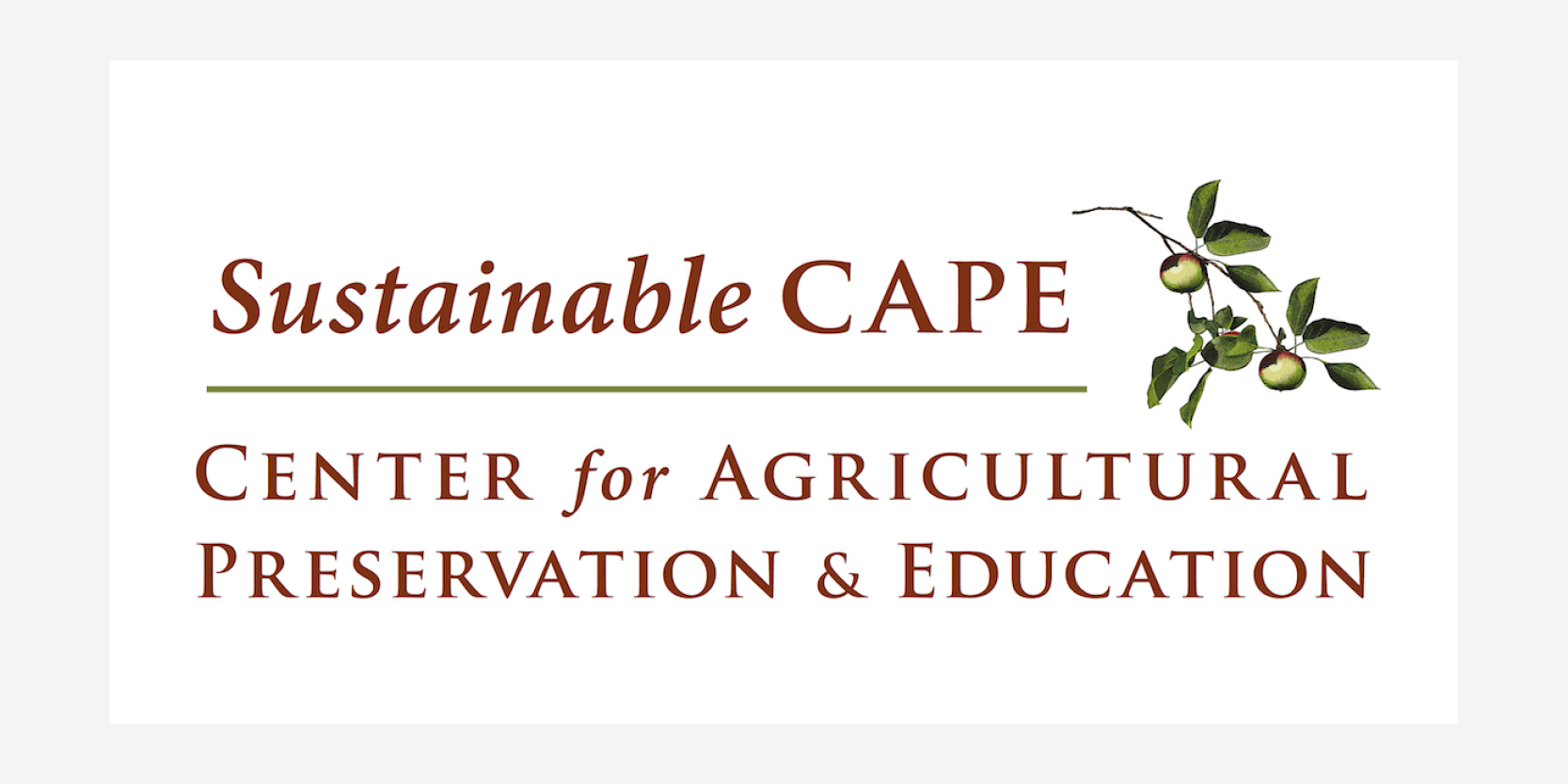 Sustainable CAPE logo