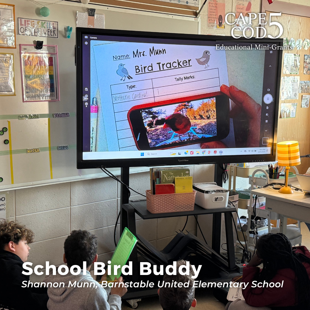 Students bird watching on television in classroom