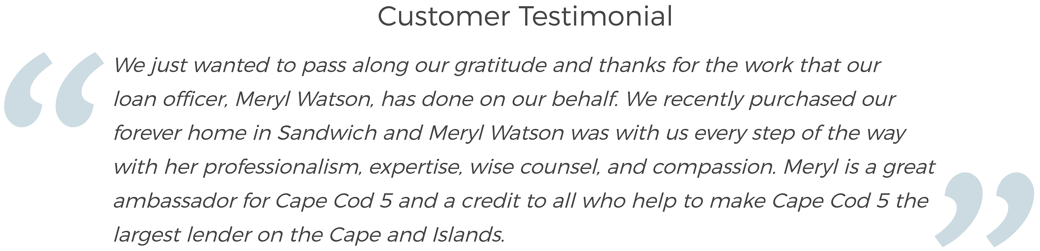 Customer testimonial #2