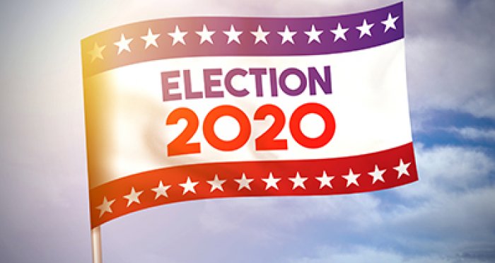 Election 2020 flag