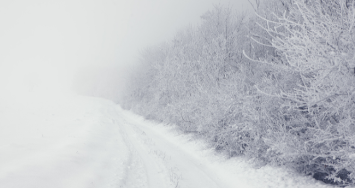 February Market Commentary