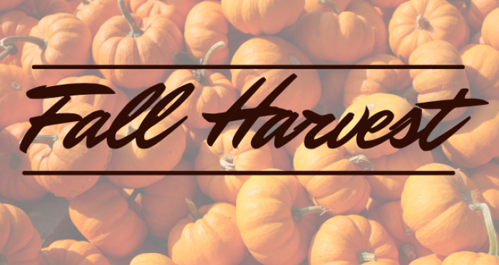 October Market Review