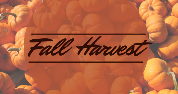 October Market Review