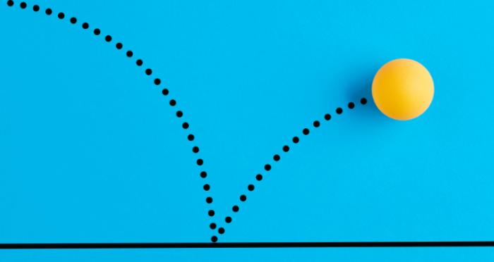 November Market Review